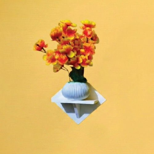 Gemini_Generated_Image_ckagn2ckagn2ckag